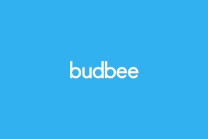 Budbee: elke dag 300 bezorgers op pad
