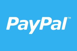 PayPal wint marktaandeel